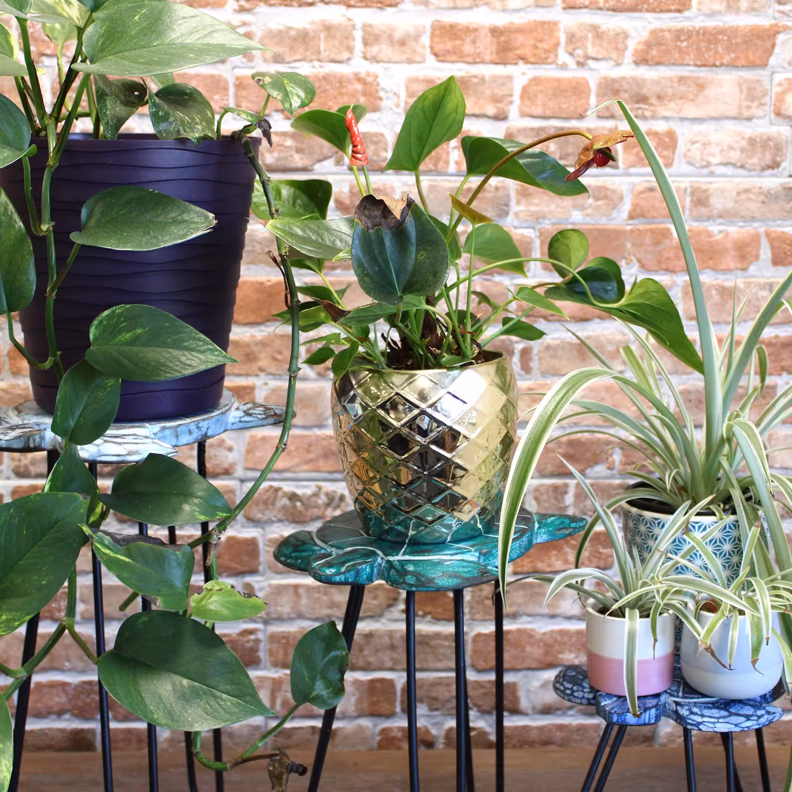 Set of 3 Gamal Wood Plant Stands – Natural | www.artisan-gifts.co.uk 6 Set of 3 Gamal Wood Plant Stands - Natural - Image 5