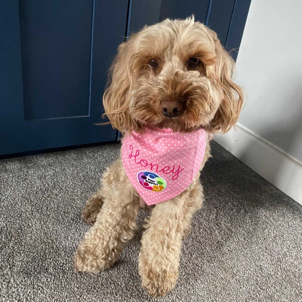 Pet Accessories-3 - artisan-gifts.co.uk