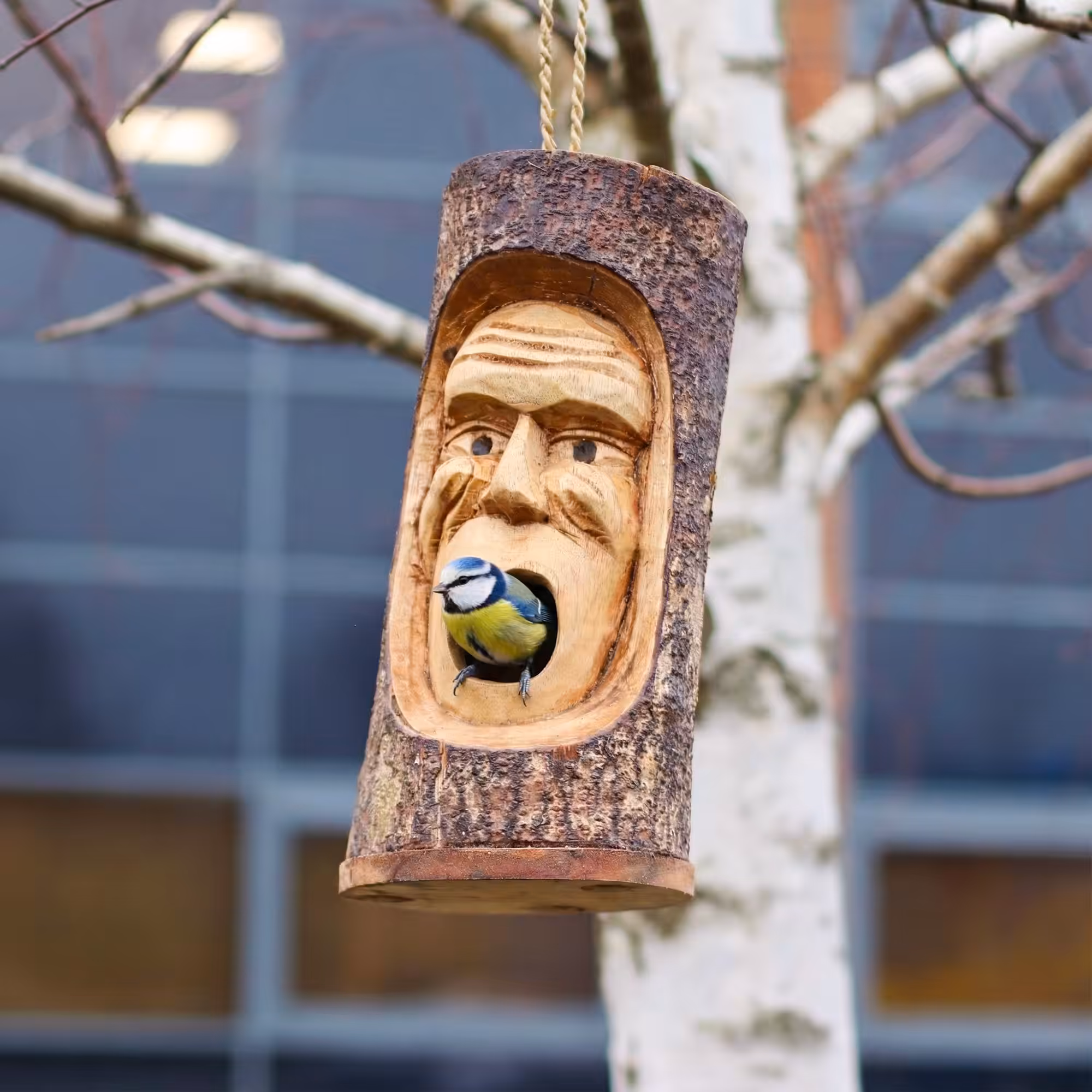 Tree Trunk Face – Bird House – Grumpy Old Man | www.artisan-gifts.co.uk 6 Tree Trunk Face - Bird House - Grumpy Old Man - Image 5