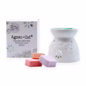 Wax Melter with Four Soy Wax Melts