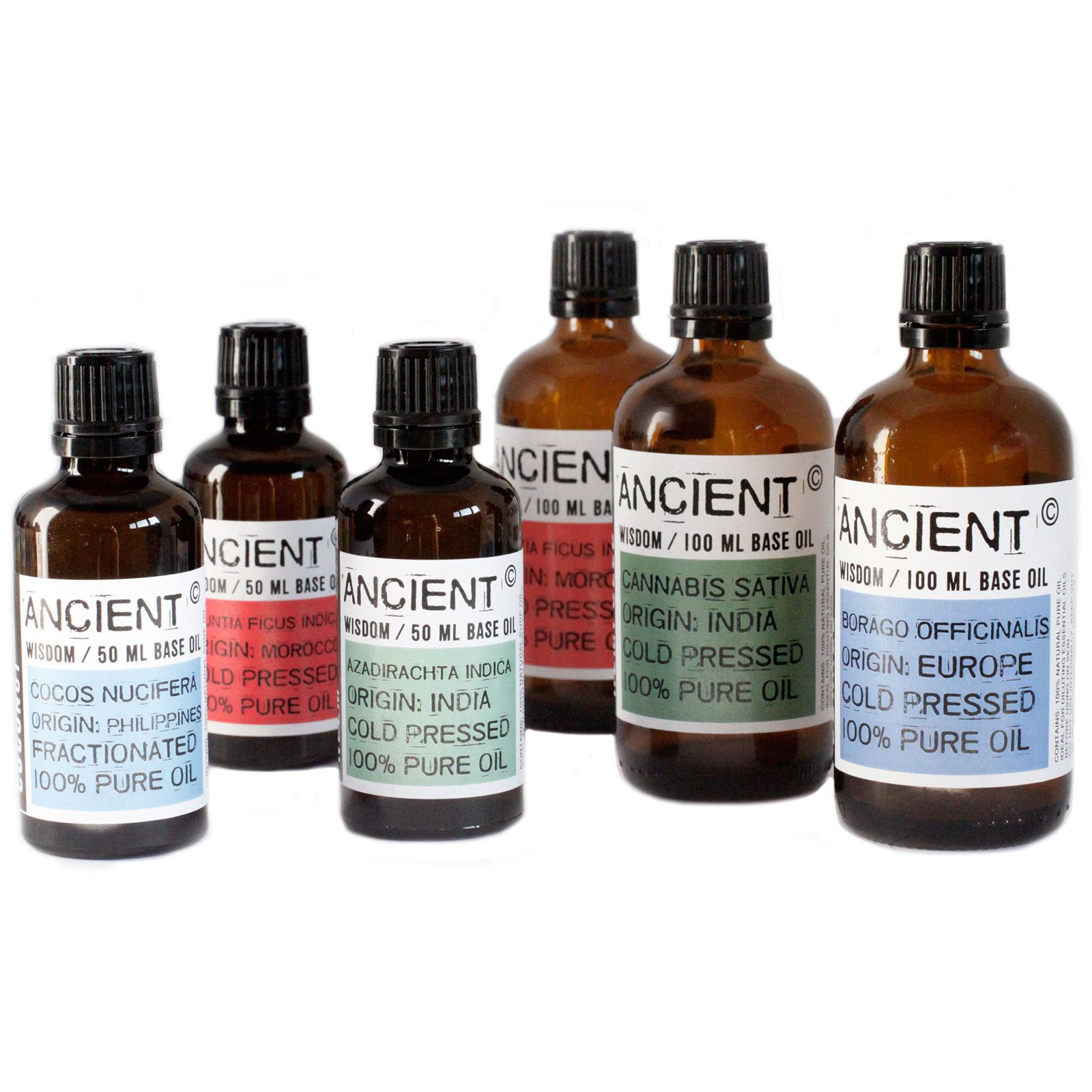 Wheatgerm Oil – 50ml | www.artisan-gifts.co.uk 5 Wheatgerm Oil – 50ml | www.artisan-gifts.co.uk 4