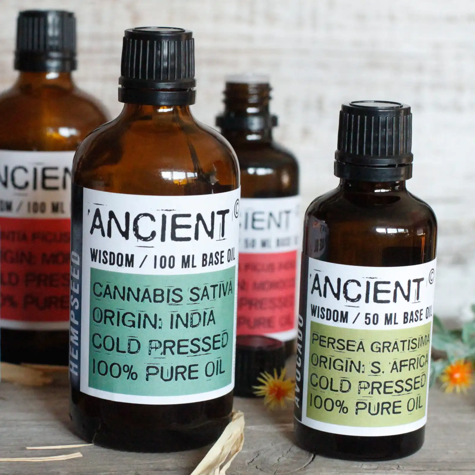 Wheatgerm Oil – 50ml | www.artisan-gifts.co.uk 7 Wheatgerm Oil – 50ml | www.artisan-gifts.co.uk 6