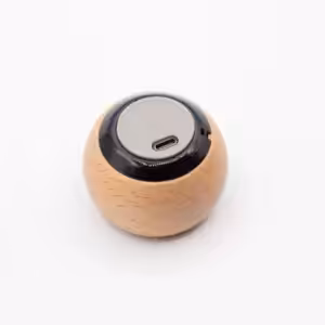 Wooden Mandela Effect Mini Speaker